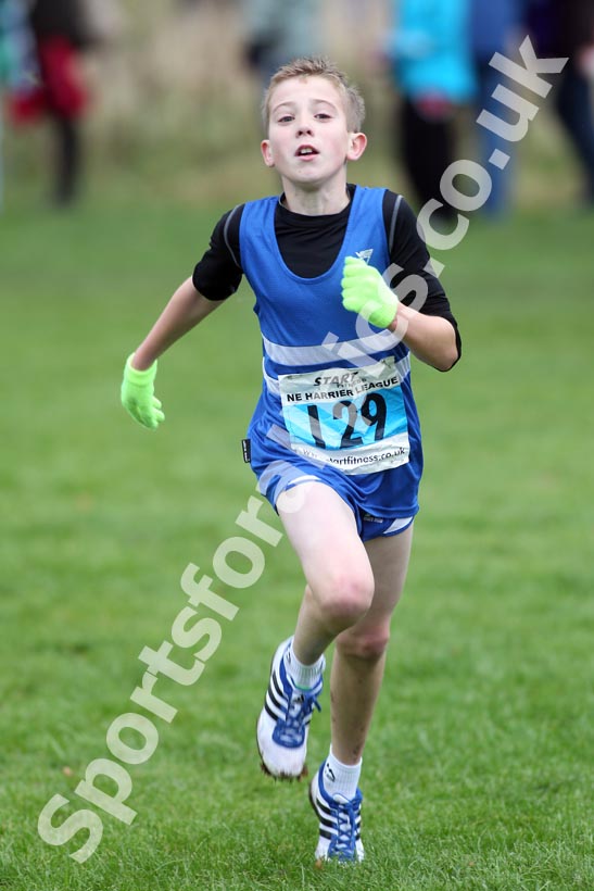 Blue 129, North East Harrier League, Sunderland